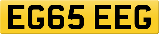 EG65EEG